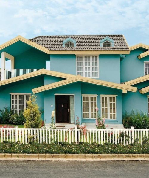 1677926527_en-idei-club-p-exterior-wall-painting-dizain-3